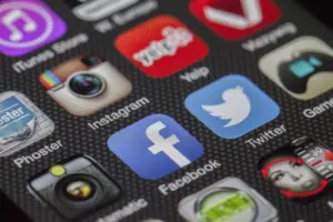 Have Social Media and Video Games Raised the Profile of Baseball in Wellington and New Zealand?