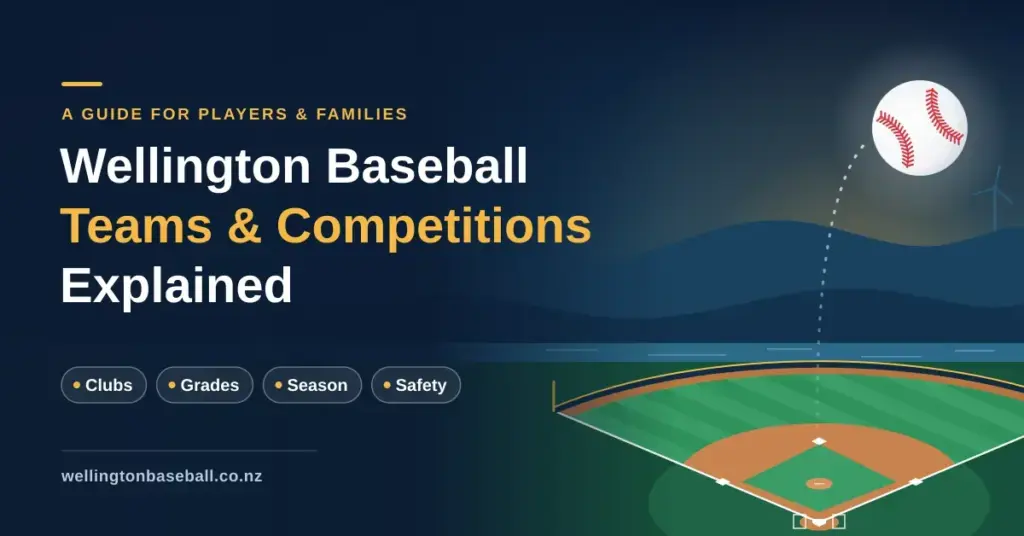 Illustrated banner for a guide to Wellington baseball teams and competitions, showing a baseball in flight above a summer ballpark with the harbour and hills behind, alongside topic labels for clubs, grades, season and safety.