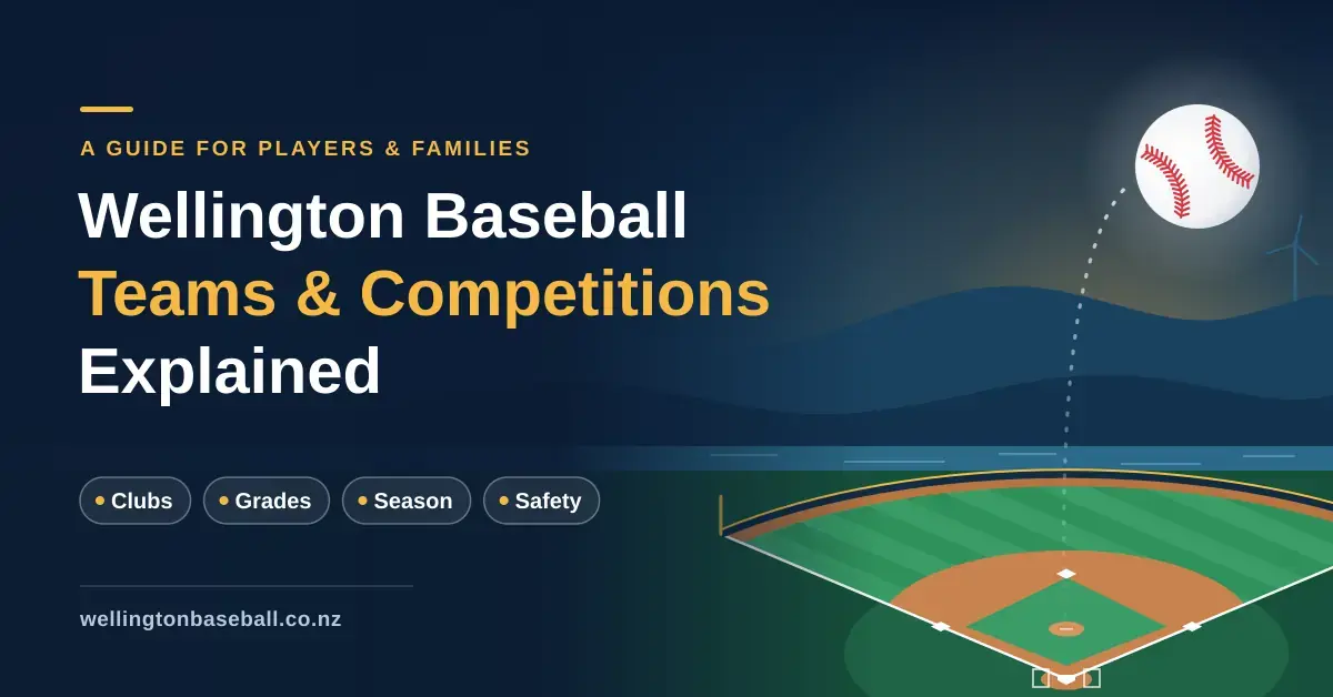 Illustrated banner for a guide to Wellington baseball teams and competitions, showing a baseball in flight above a summer ballpark with the harbour and hills behind, alongside topic labels for clubs, grades, season and safety.